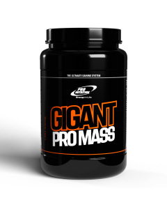 Gigant Pro Mass